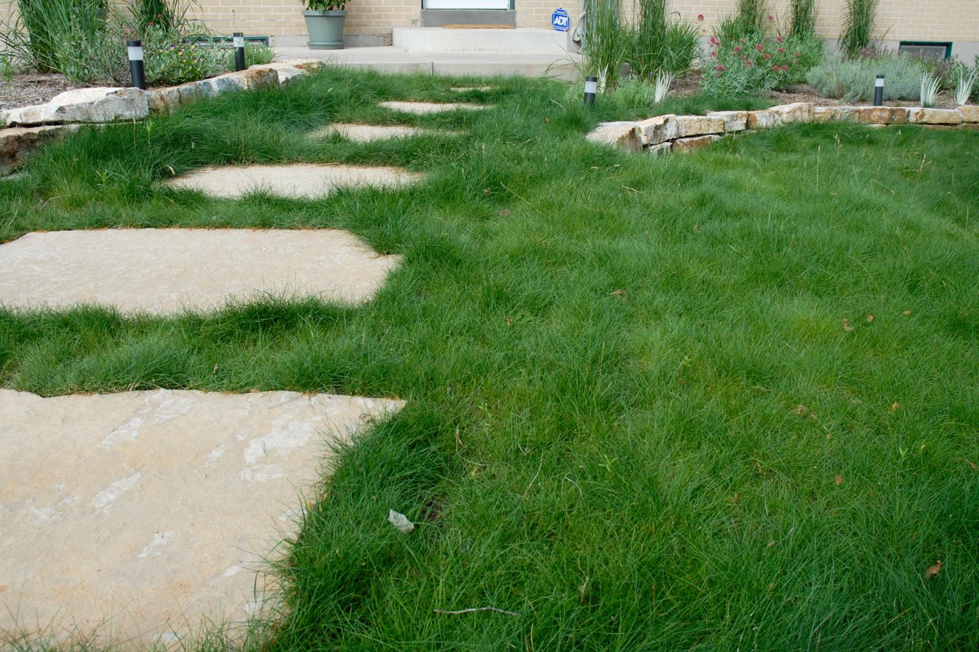 Low Maintenance Reno